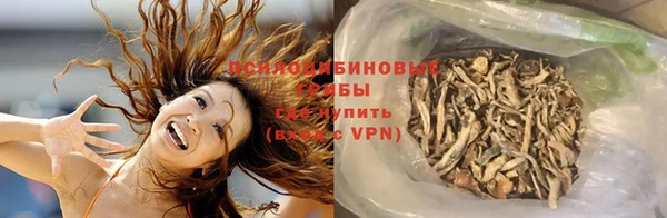 а пвп мука Бородино