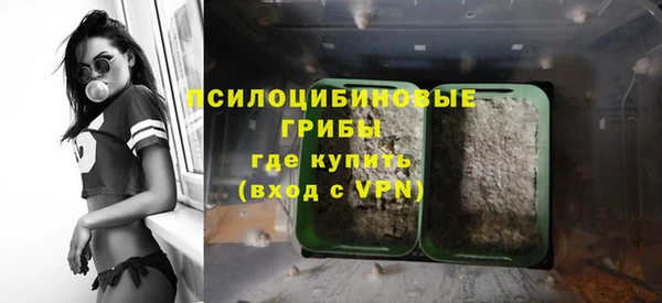 Альфа ПВП Богородицк