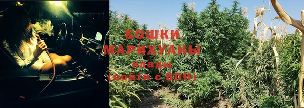 прущая мука Богородск